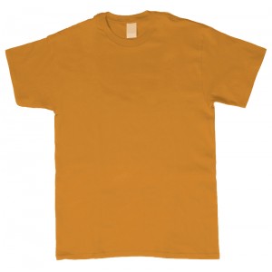 Sample T-Shirt